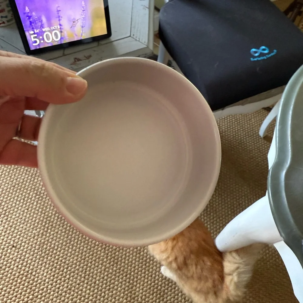 Top Paw White Ceramic Pet Bowl